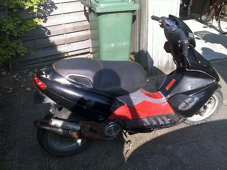 Benelli 491 gt billede 2