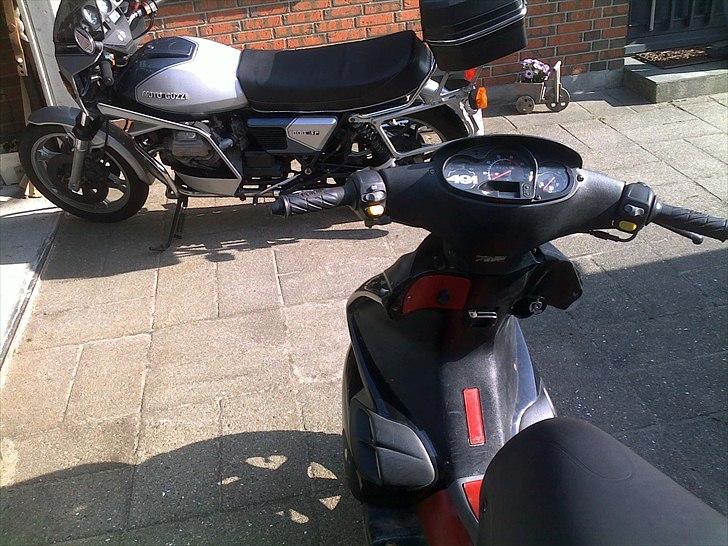 Benelli 491 gt billede 3
