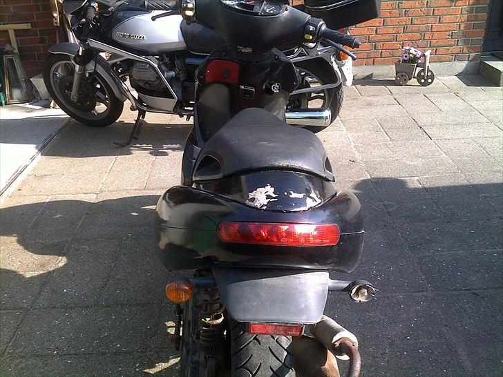 Benelli 491 gt billede 5