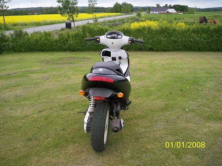 Benelli 491 "Solgt" billede 4