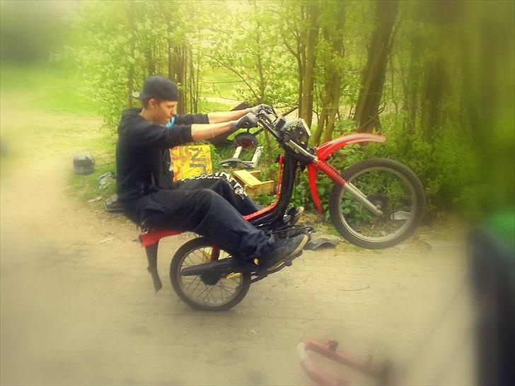 Yamaha Sting billede 1