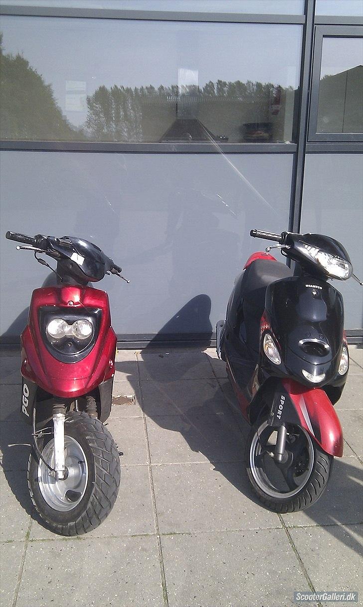 PGO Hot 50 (SOLGT) billede 1