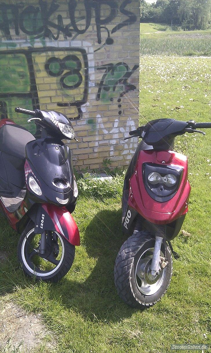 PGO Hot 50 (SOLGT) billede 3