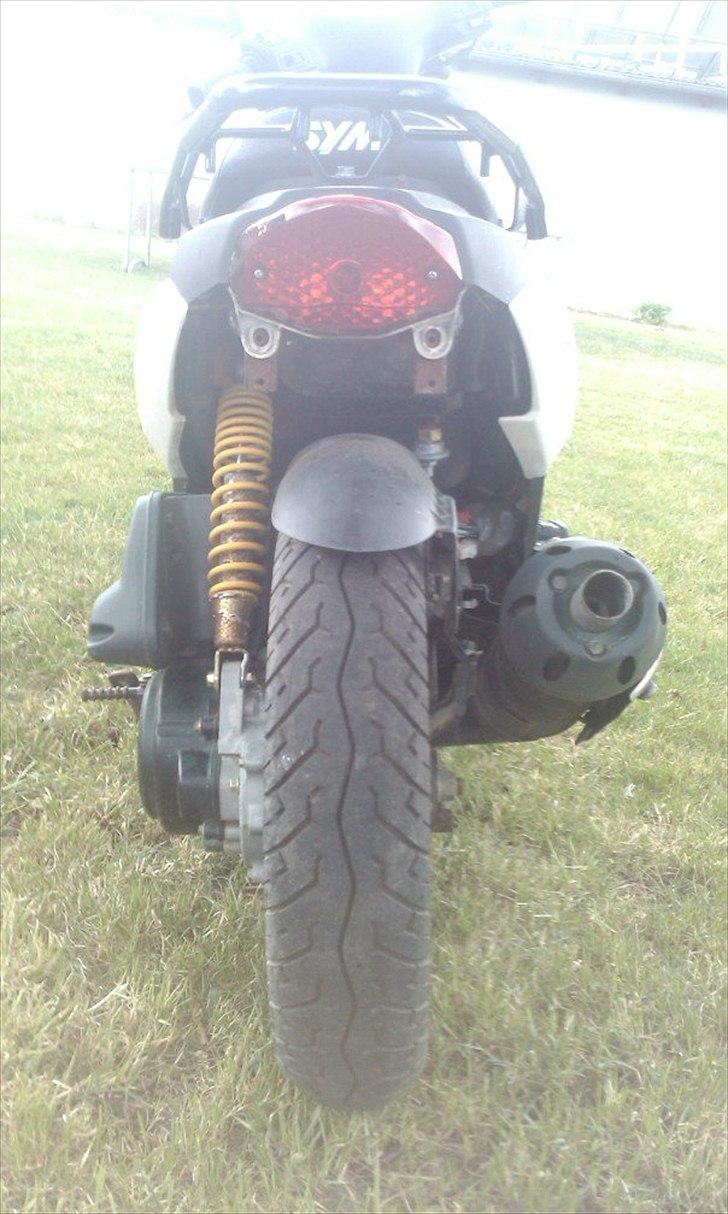 Sym orbit 50 billede 2