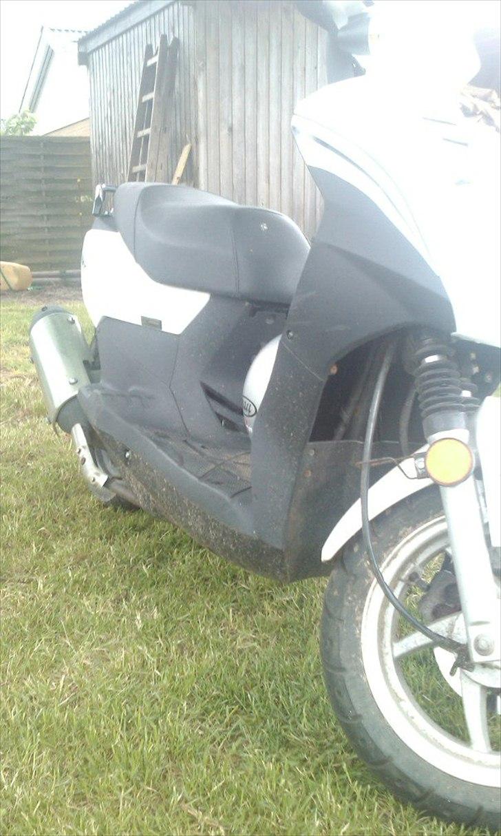 Sym orbit 50 billede 5