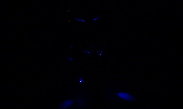 Honda SFX (SOLGT) billede 4