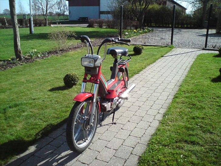 Puch Maxi P1 "Byttet" billede 3
