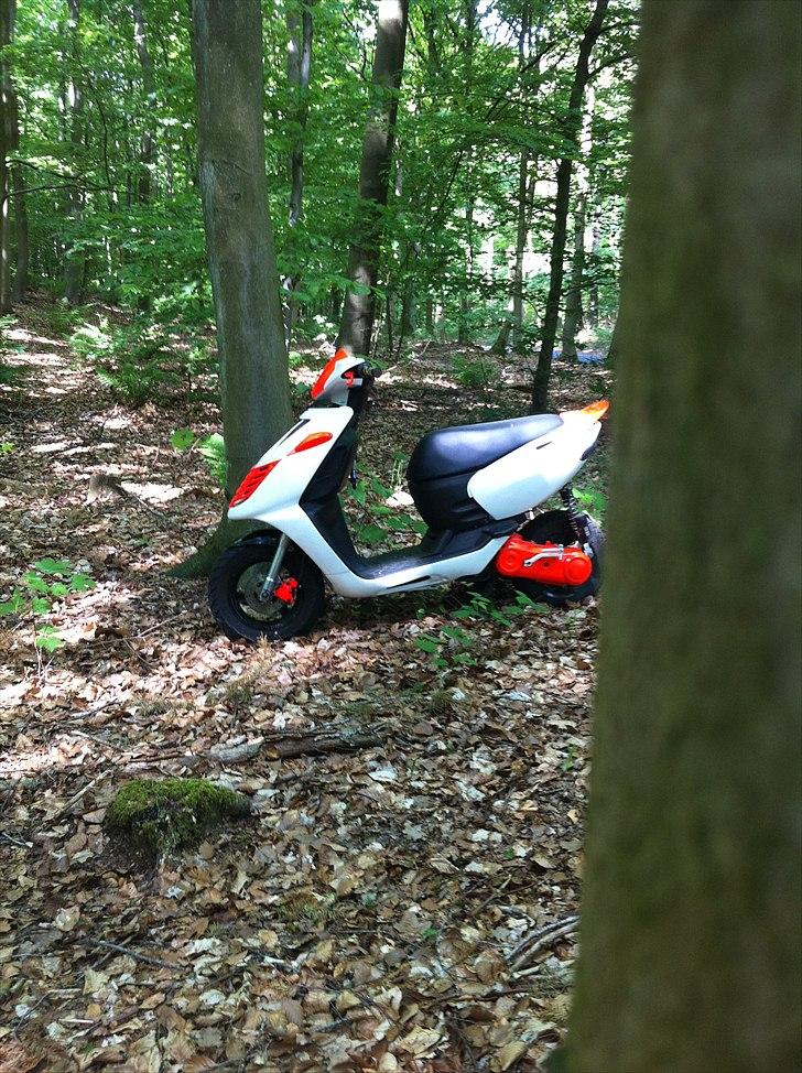 Aprilia Sonic [BYTTET] billede 13