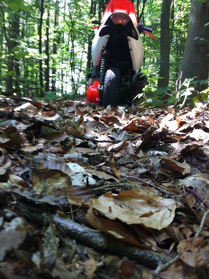 Aprilia Sonic [BYTTET] billede 14