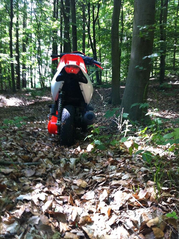 Aprilia Sonic [BYTTET] billede 15