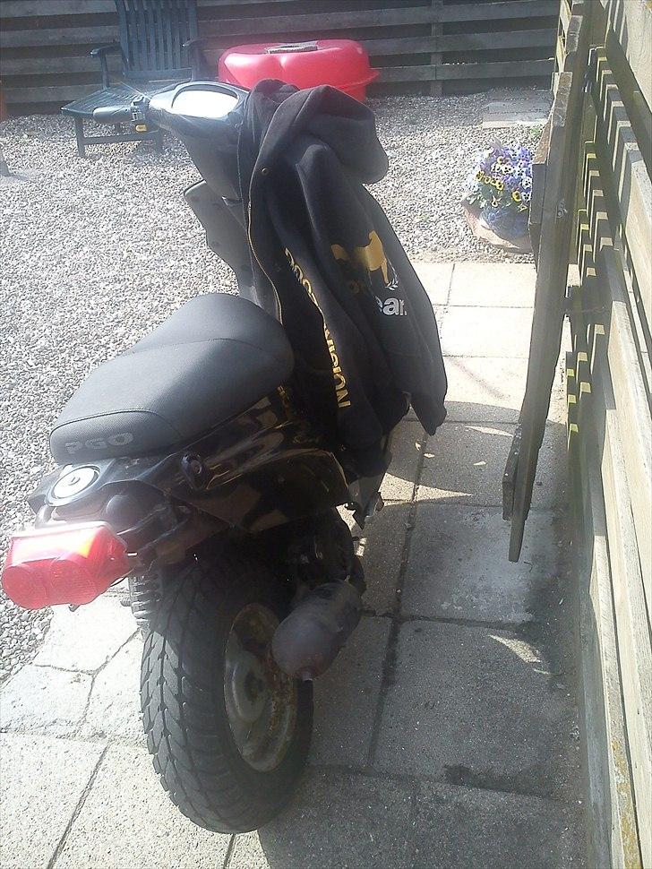 PGO Hot 50 - Solgt  billede 4