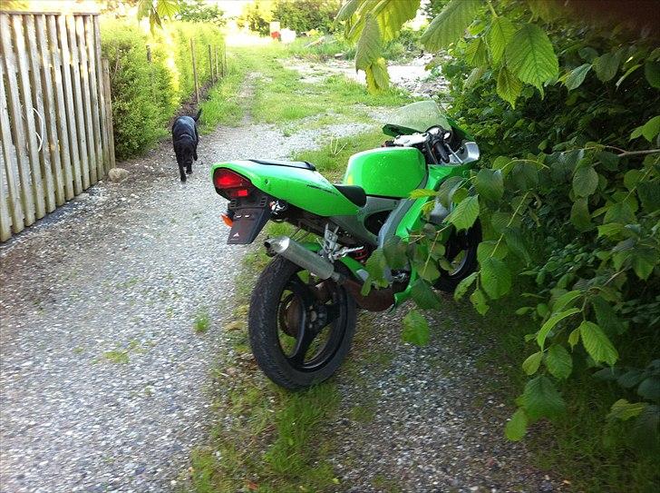 Aprilia rs 50 billede 2