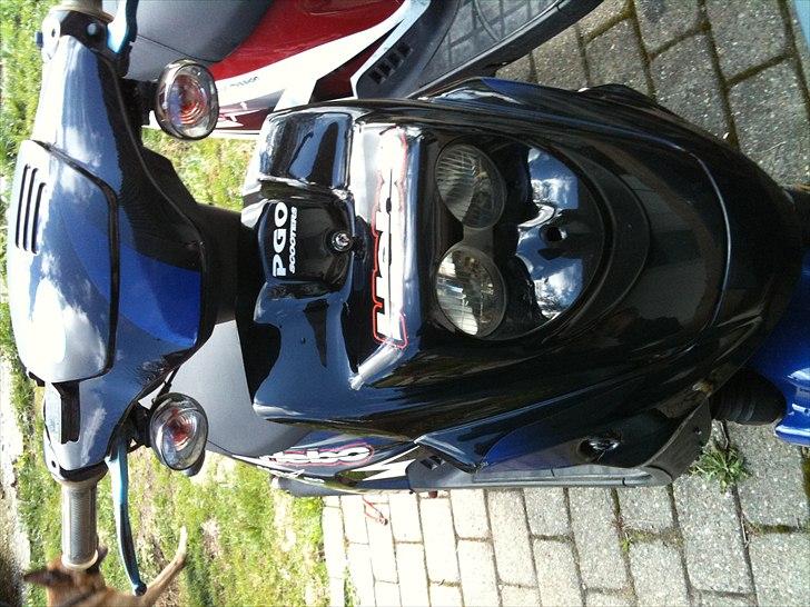 PGO Hot 50 *STJÅLET* billede 3