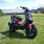 PGO Hot 50 SP 12" alu 6 eger 