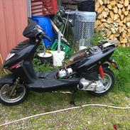 CPI Oliver city AC SD •*Byttet til maxi*•