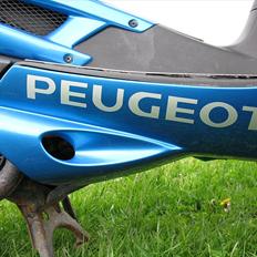 Peugeot Speedfight 2 ***Bedøm***Brændt***