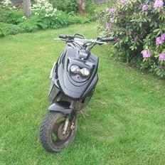 PGO Hot50 "Ninjaen"