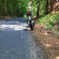 Suzuki K50 4gear ( Byttet til Sonic)