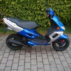 Peugeot speedfight 2