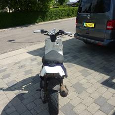 PGO hot 50( byttes til std)