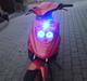 PGO Hot 50