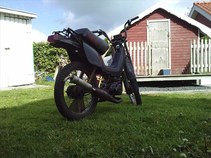 Yamaha Sting sg 50 billede 1