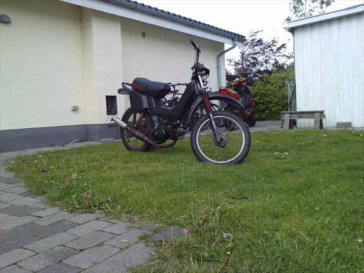 Yamaha Sting sg 50 billede 3