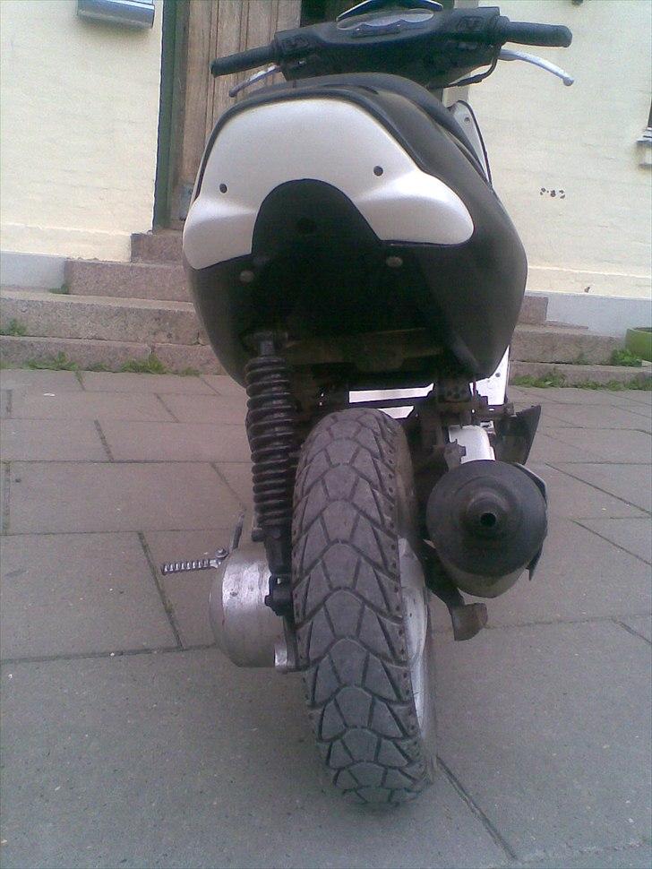 Aprilia Sonjog- død billede 3