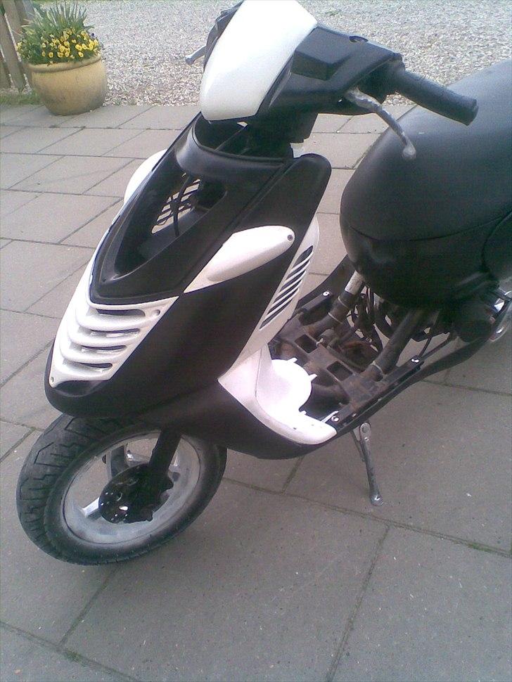 Aprilia Sonjog- død billede 7