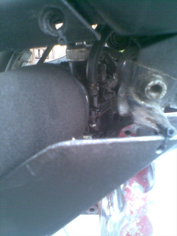 Aprilia Sonjog- død billede 9