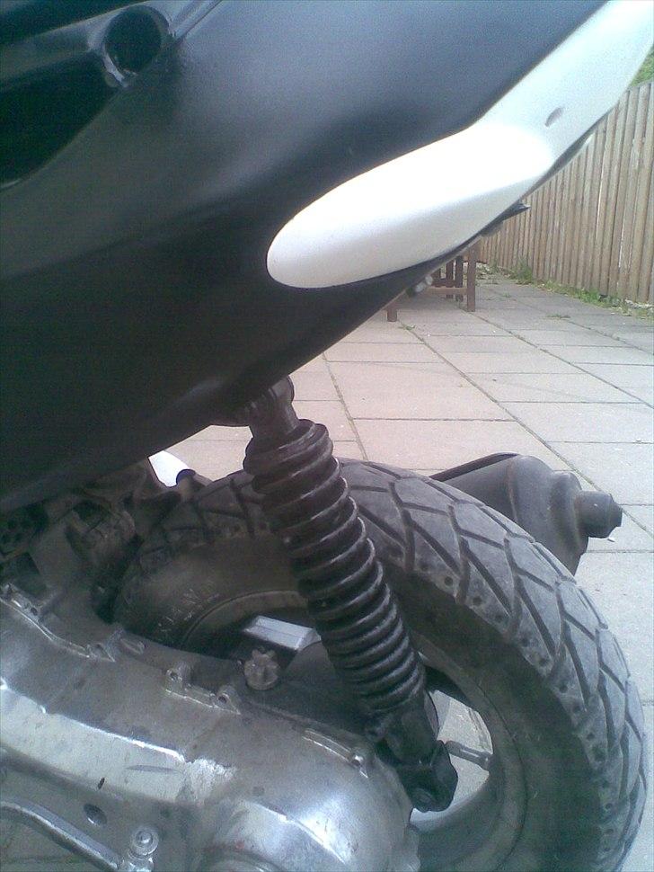 Aprilia Sonjog- død billede 11