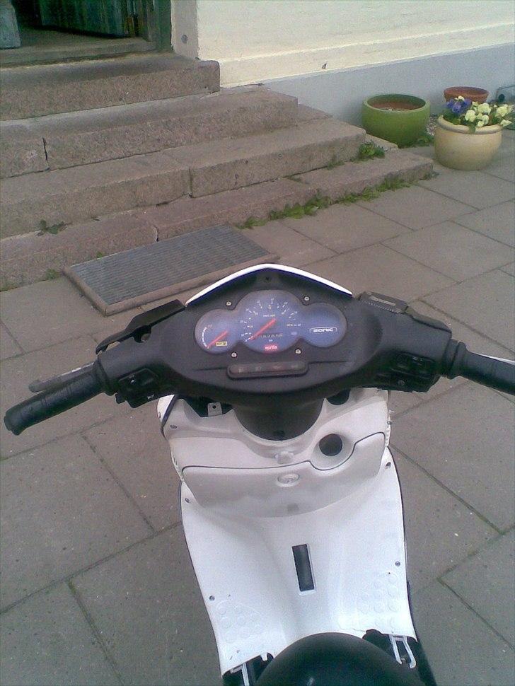 Aprilia Sonjog- død billede 12