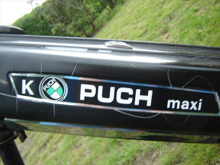 Puch Maxi k - Ja det skal der jo være et klistermærke hvor der står puch k ;) billede 6