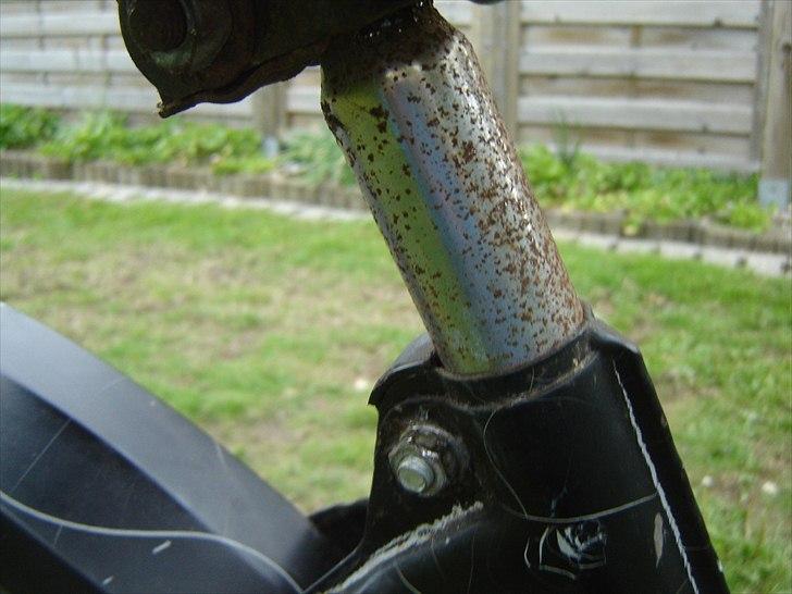 Puch Maxi k - Ja lidt rust kan jo næsten ikke undgås når den er så gammel billede 17