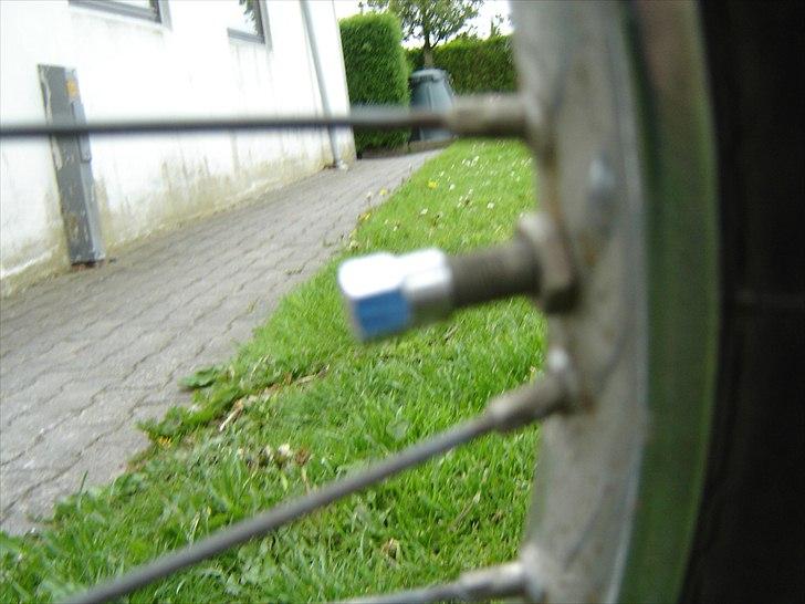 Puch Maxi k billede 18