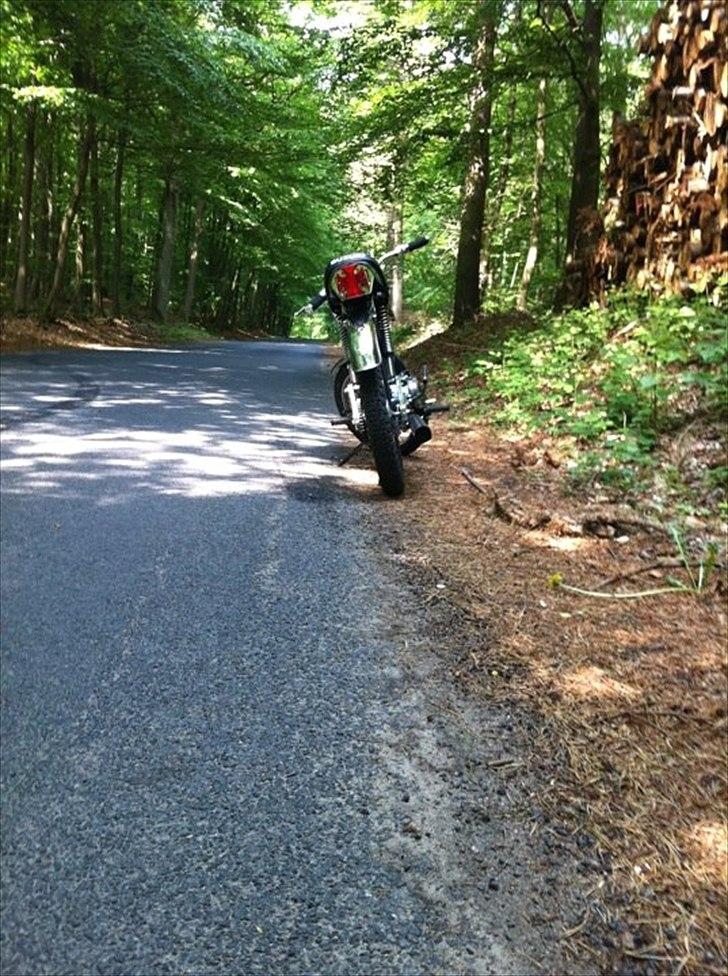 Suzuki K50 4gear ( Byttet til Sonic) billede 2