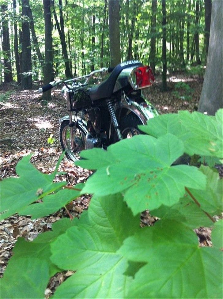 Suzuki K50 4gear ( Byttet til Sonic) billede 12