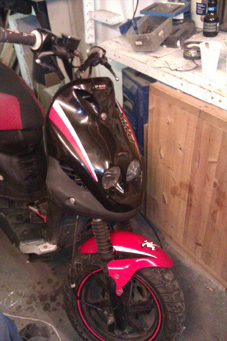 PGO PMX sport billede 3