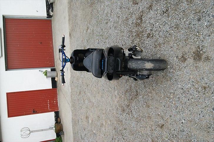 Gilera stalker til salg  billede 6