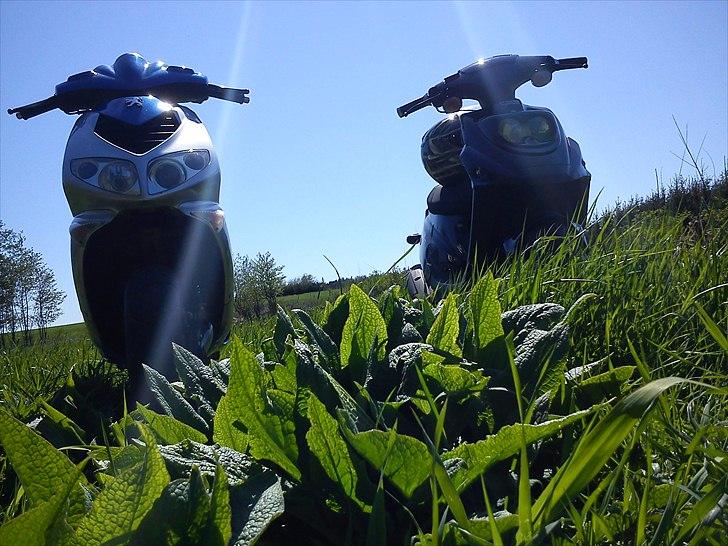 PGO Hot 50 SOLGT billede 6