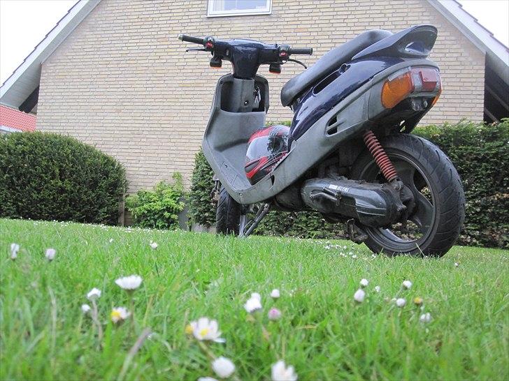 Adly Cat 100 billede 2