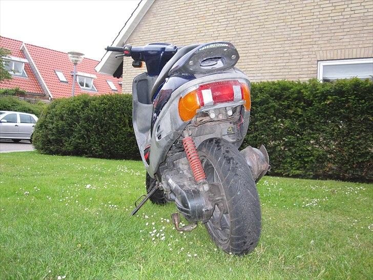 Adly Cat 100 billede 3