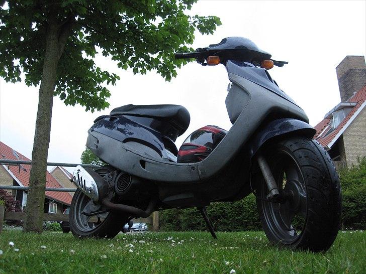 Adly Cat 100 billede 6