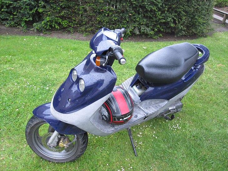 Adly Cat 100 billede 8