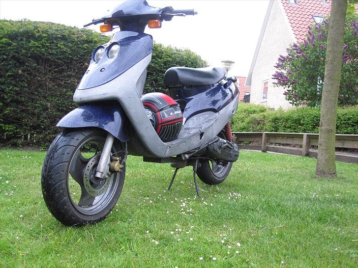 Adly Cat 100 billede 9