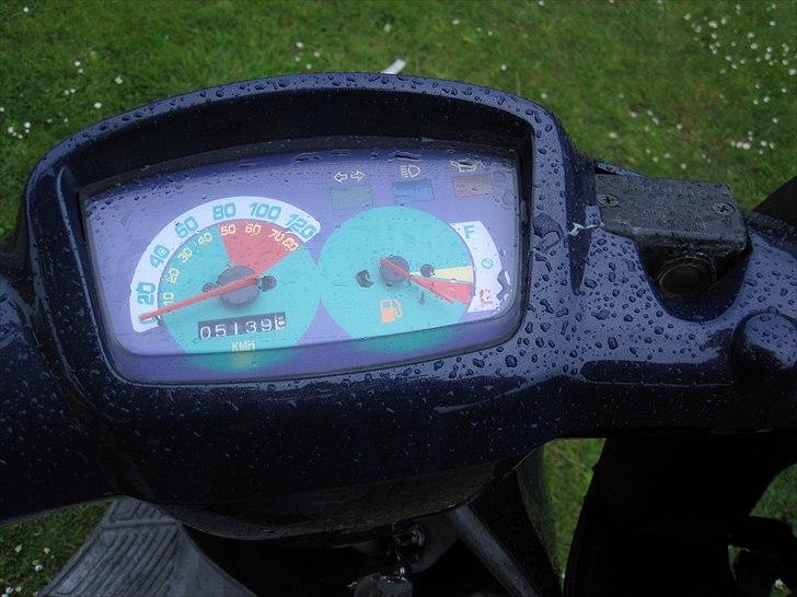 Adly Cat 100 billede 10