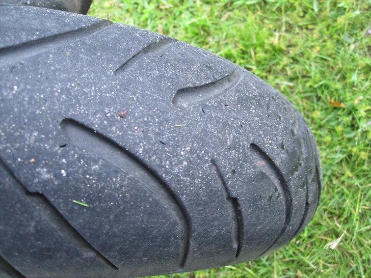 Adly Cat 100 billede 13