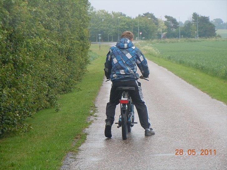 Vespa ciao billede 10