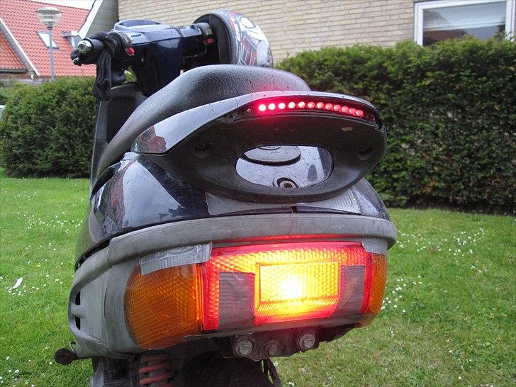 Adly Cat 100 billede 14