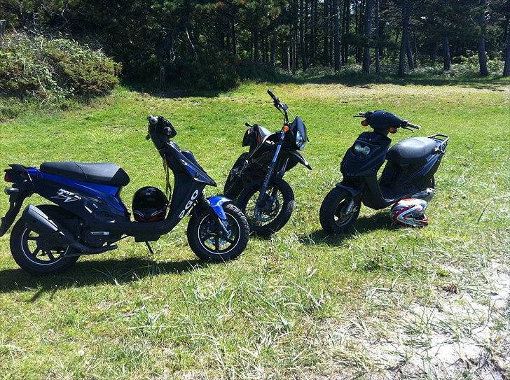 PGO hot 50 *Solgt* billede 4